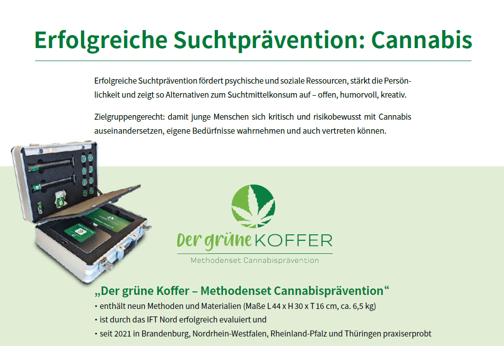 Flyer Der Grüne Koffer